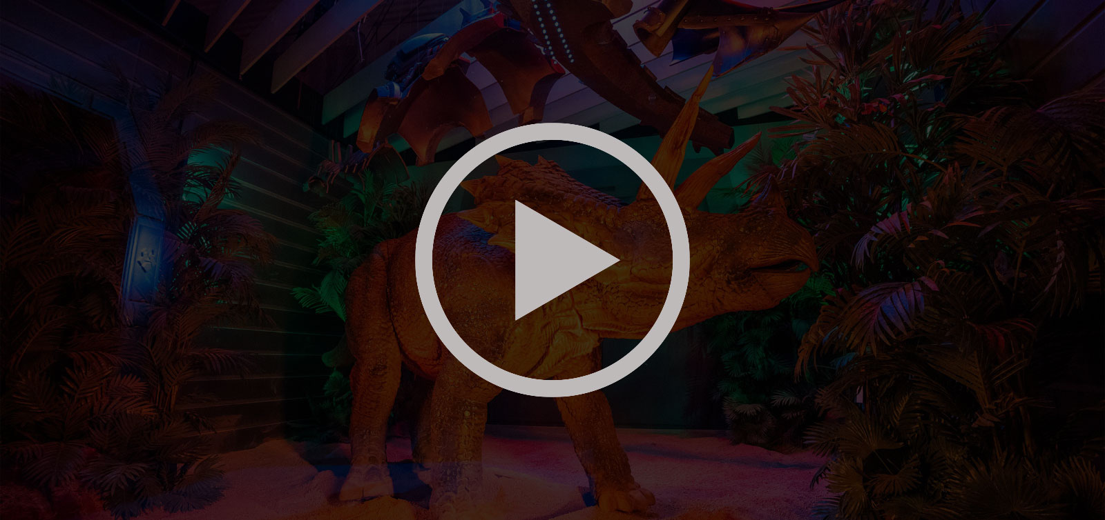 Hot Wheels Activation Reel